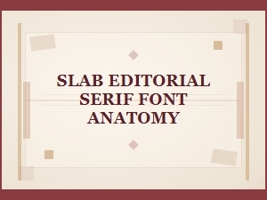 The Anatomy of Slab Editorial Serif Fonts
